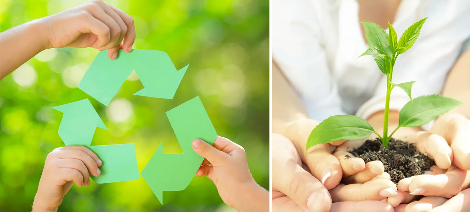 Empresa de reciclaje en San Luis Potosí